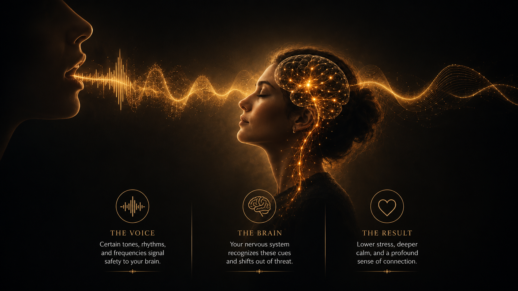 Why Do Certain Voices Instantly Calm Your Nervous System?